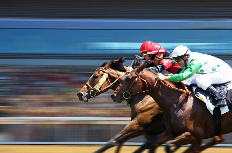 Comment miser aux Courses hippiques ?