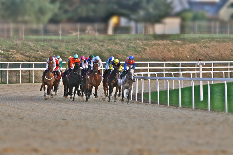 Un lieu de sport et de passion © rostaingphoto.com