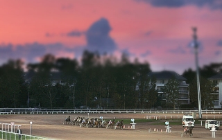 Course de trot sulkys