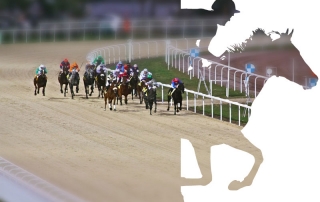 Réunion Premium galop