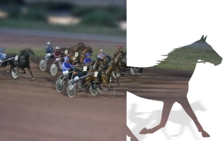 Réunion trot hippodrome