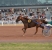 jockeys BOURLIER cheval VOLCAN LUDOIS 0219