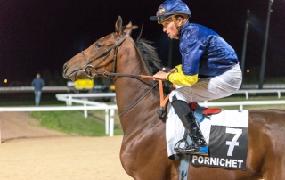#Galop # 15 Février #16H00